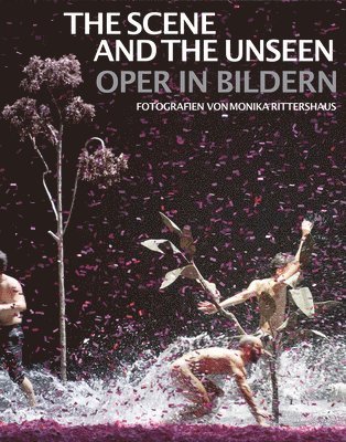 bokomslag Scene and the Unseen