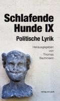 bokomslag Schlafende Hunde IX