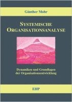 bokomslag Systemische Organisationsanalyse