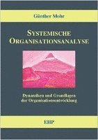 Systemische Organisationsanalyse 1