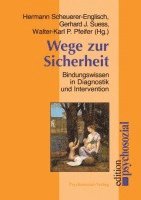 bokomslag Wege zur Sicherheit