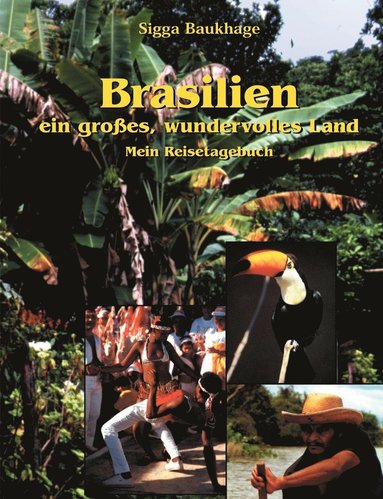 bokomslag Brasilien - ein großes wundervolles Land
