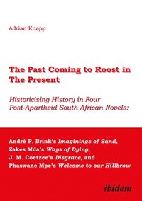 bokomslag Past Coming to Roost in the Present - Historicising History in Four Post-Apartheid South African Novels: Andre P. Brink's Imaginings