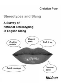 bokomslag Stereotypes and Slang