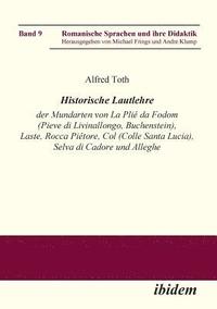 bokomslag Historische Lautlehre der Mundarten von La Pli? da Fodom (Pieve di Livinallongo, Buchenstein) und Col (Colle Santa Lucia), Provincia di Belluno unter Ber?cksichtigung der Mundarten von Laste, Rocca...