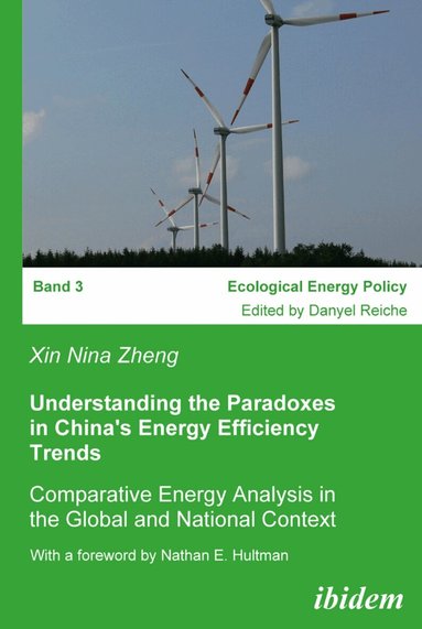 Xin Nina Zheng - Understanding the Paradoxes in China's Energy Efficiency Trends, Häftad