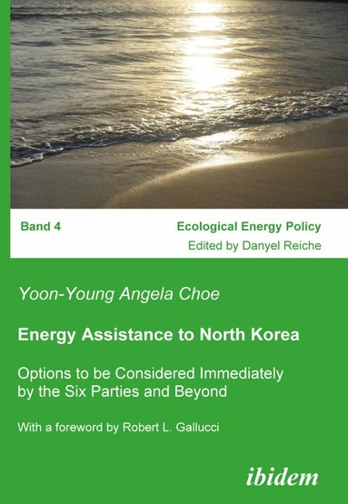 Yoon-Young Angela Choe - Energy Assistance to North Korea, Häftad