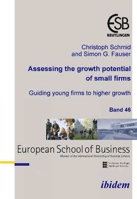 Assessing the growth potential of small firms