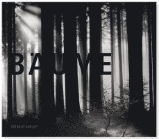 Bäume 1