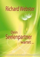 Richard Webster - Dein Seelenpartner wartet..., Häftad