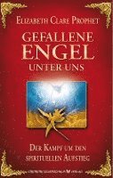 bokomslag Gefallene Engel - Der Kampf um den spirituellen Aufstieg