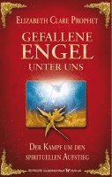 bokomslag Gefallene Engel - Der Kampf um den spirituellen Aufstieg