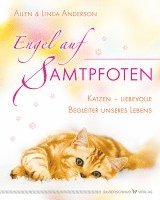 bokomslag Engel auf Samtpfoten