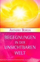 bokomslag Begegnungen in der Unsichtbaren Welt