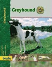 PraxisRatgeber Greyhound 1