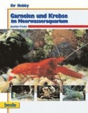 Ihr Hobby Garnelen und Krebse im Meerwasseraquarium 1