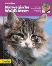 bokomslag Ihr Hobby Norwegische Waldkatzen