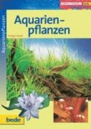 bokomslag Faszination Aquarienpflanzen