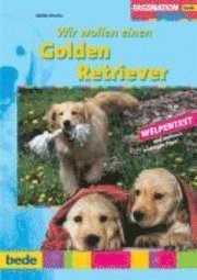 bokomslag Faszination Wir wollen einen Golden Retriever