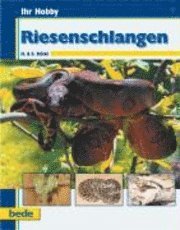 bokomslag Ihr Hobby - Riesenschlangen