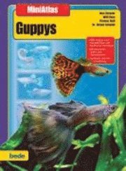 bokomslag MiniAtlas Guppys