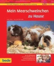 bokomslag Mein Meerschweinchen