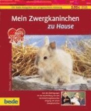 bokomslag Mein Zwergkaninchen zu Hause