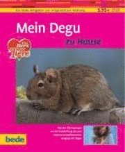 bokomslag Mein Degu zu Hause