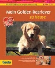 bokomslag Mein Golden Retriever zu Hause