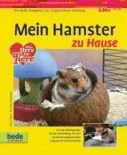 bokomslag Mein Hamster zu Hause