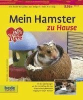 bokomslag Mein Hamster zu Hause