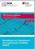 bokomslag Behandlung von Erwachsenen mit angeborenem Herzfehler (EMAH)