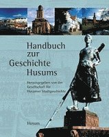 bokomslag Geschichte Husums