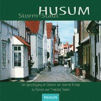 bokomslag Storm-Stadt Husum