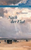 bokomslag Nach der Flut