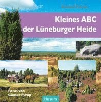 bokomslag Kleines ABC der Lüneburger Heide