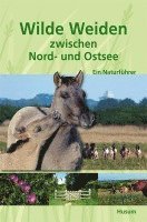 bokomslag Wilde Weiden zwischen Nord- und Ostsee