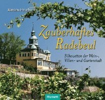 bokomslag Zauberhaftes Radebeul