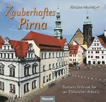 Zauberhaftes Pirna 1