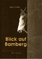 bokomslag Blick auf Bamberg