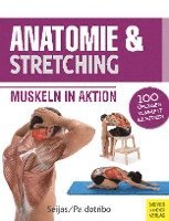 bokomslag Anatomie & Stretching (Anatomie & Sport, Band 2)