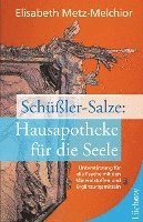 bokomslag Schüßler-Salze: Hausapotheke für die Seele