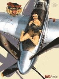bokomslag Pin-up Wings 3