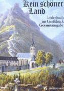 Alfred Schöps, Friedemann Strube - Kein schöner Land. Gesamtausgabe. Großdruck, Häftad
