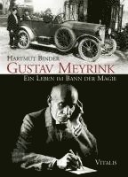 bokomslag Gustav Meyrink