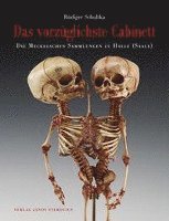 bokomslag Das vorzüglichste Cabinett - Die Meckelschen Sammlungen zu Halle (Saale)
