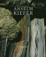 bokomslag Anselm Kiefer