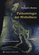 bokomslag Paläontologie der Wirbeltiere
