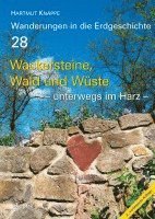 bokomslag Wackersteine, Wald und Wüste - unterwegs im Harz