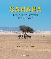 bokomslag SAHARA